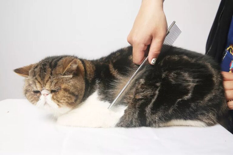 筑牢校园禁毒“防火墙”